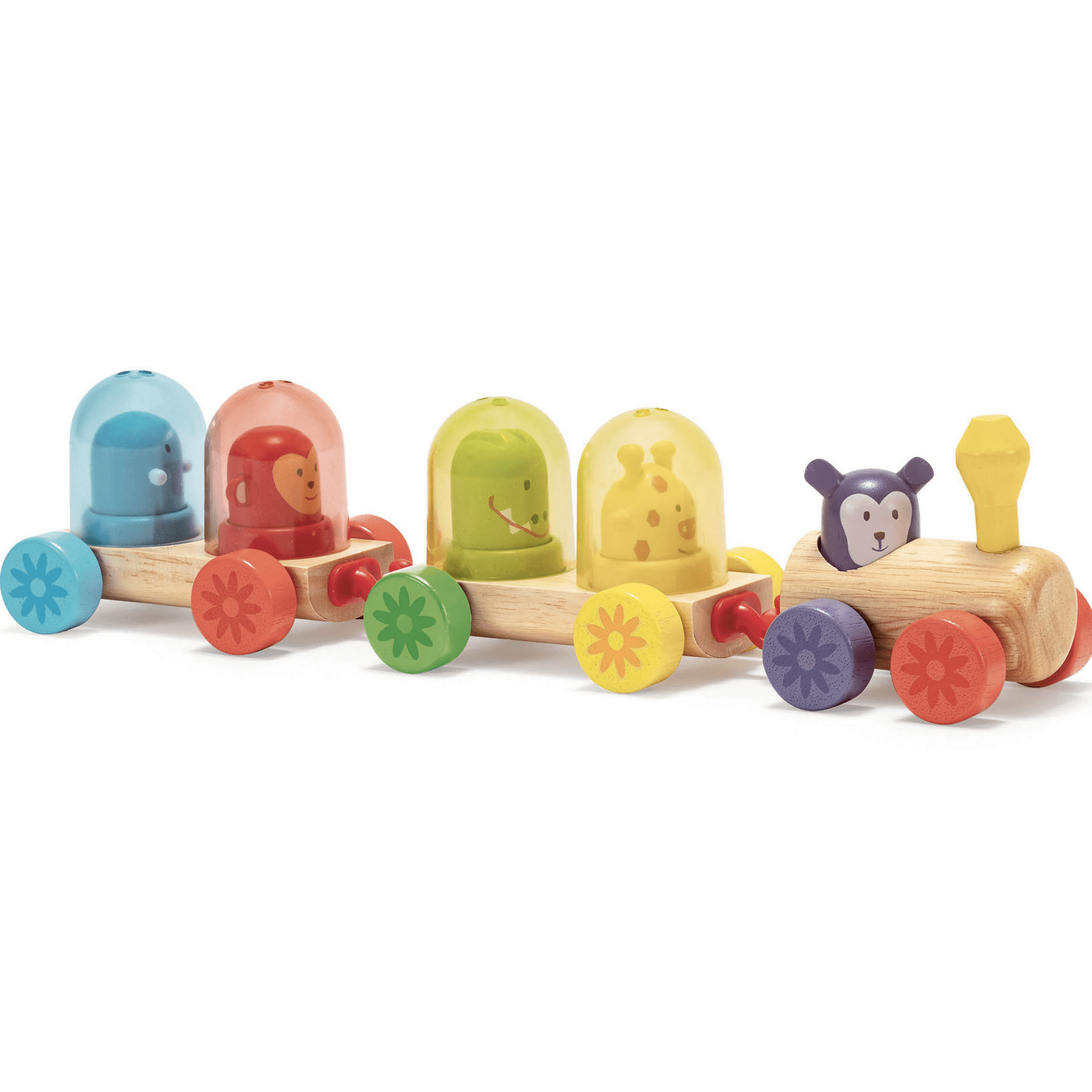 DJECO Arrastres Tren De Madera Rainbow DJ06326