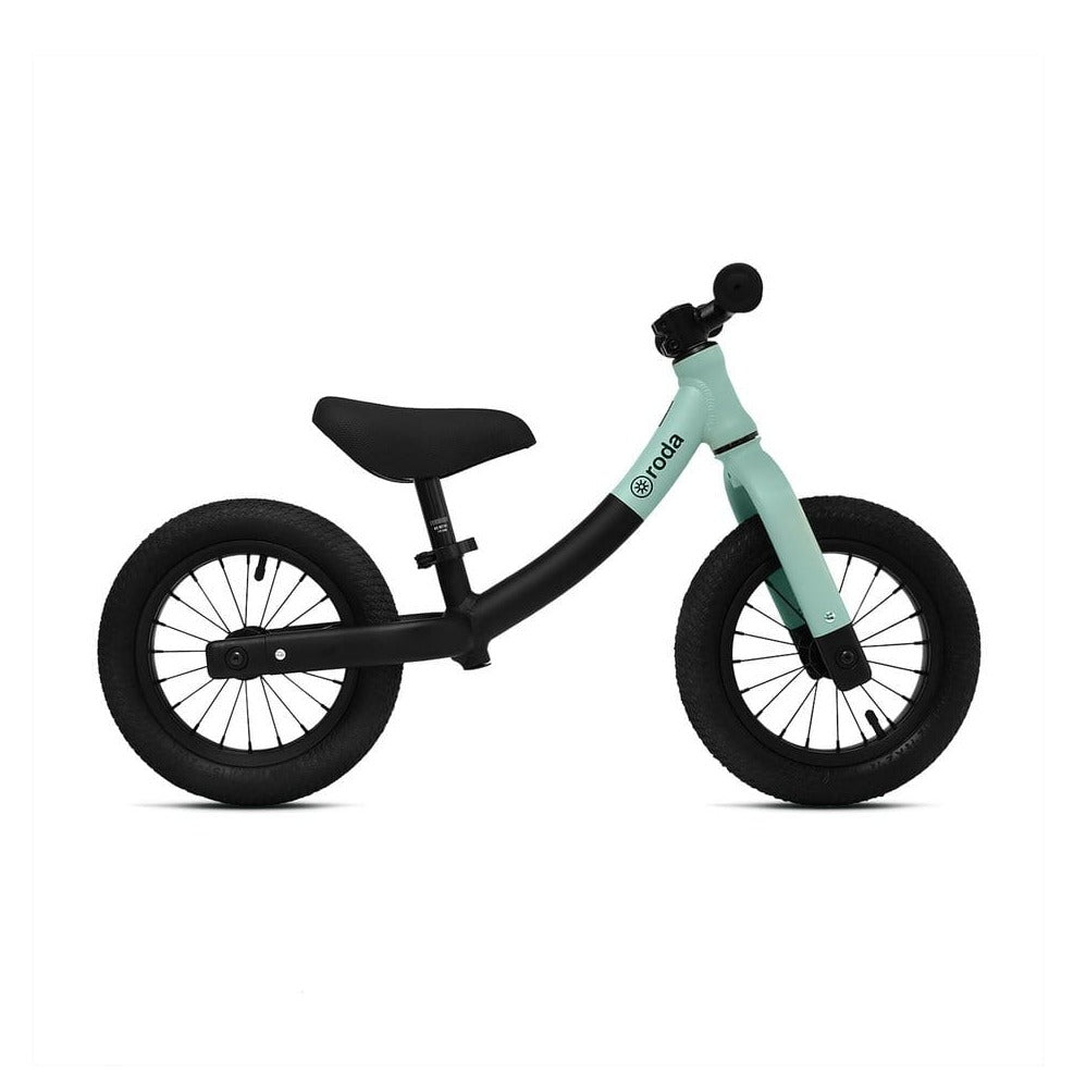 Pichintun Bicicleta Pro MATTE BLACK | SAGE 1212