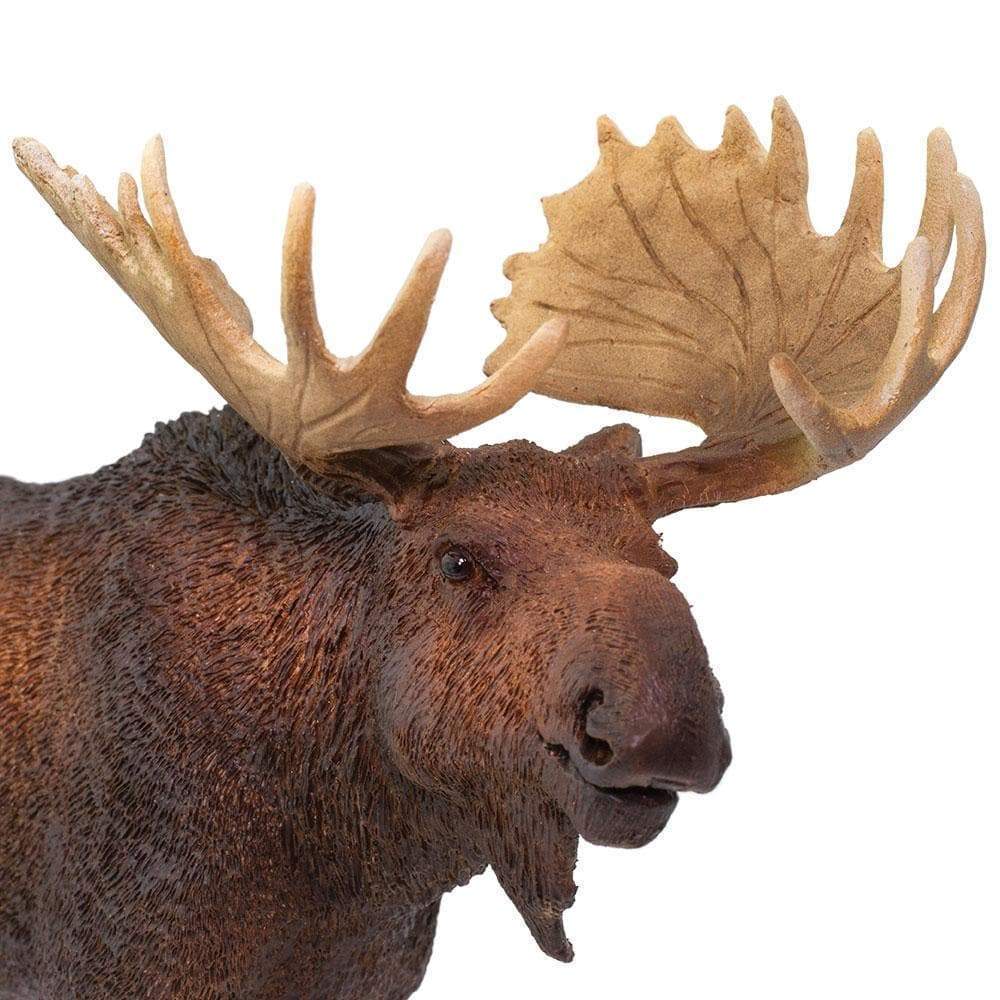 SAFARI Animales y Dinosaurios Coleccionables Alce Coleccionable SA113289