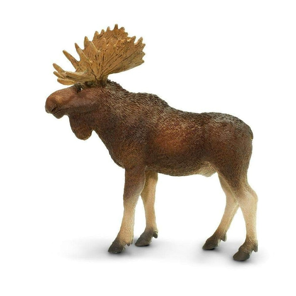 SAFARI Animales y Dinosaurios Coleccionables Alce Toro Coleccionable SA181029