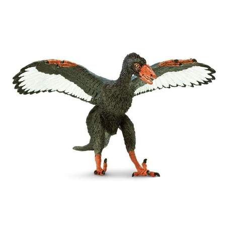Archaeopteryx Coleccionable