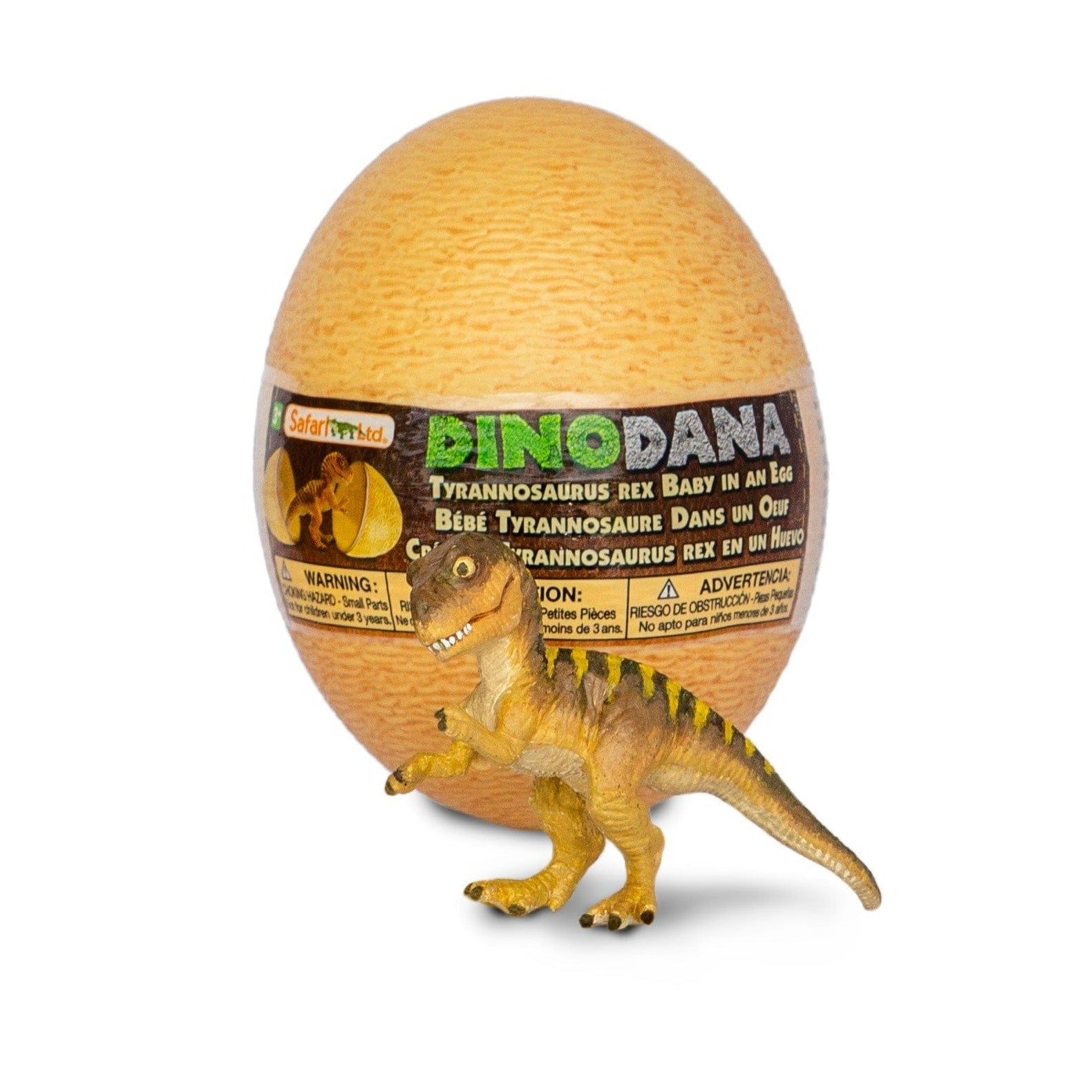 Juguete Huevos De Dinosaurios Reales Precio Baby T-Rex Con Huevo