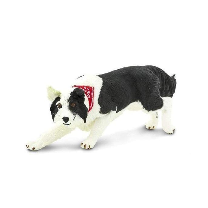 Border Collie Coleccionable