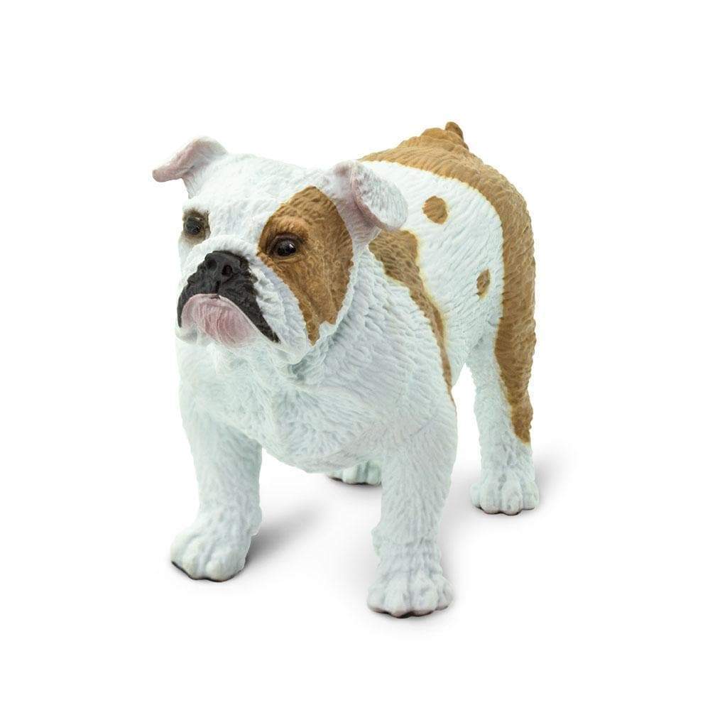 SAFARI Animales y Dinosaurios Coleccionables Bulldog Coleccionable SA250729