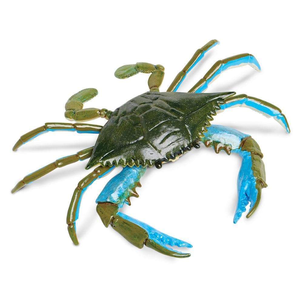 Cangrejo Azul Coleccionable