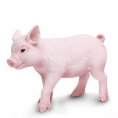 Cerdito Coleccionable