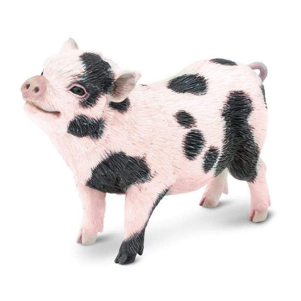 Cerdo Barrigón Coleccionable