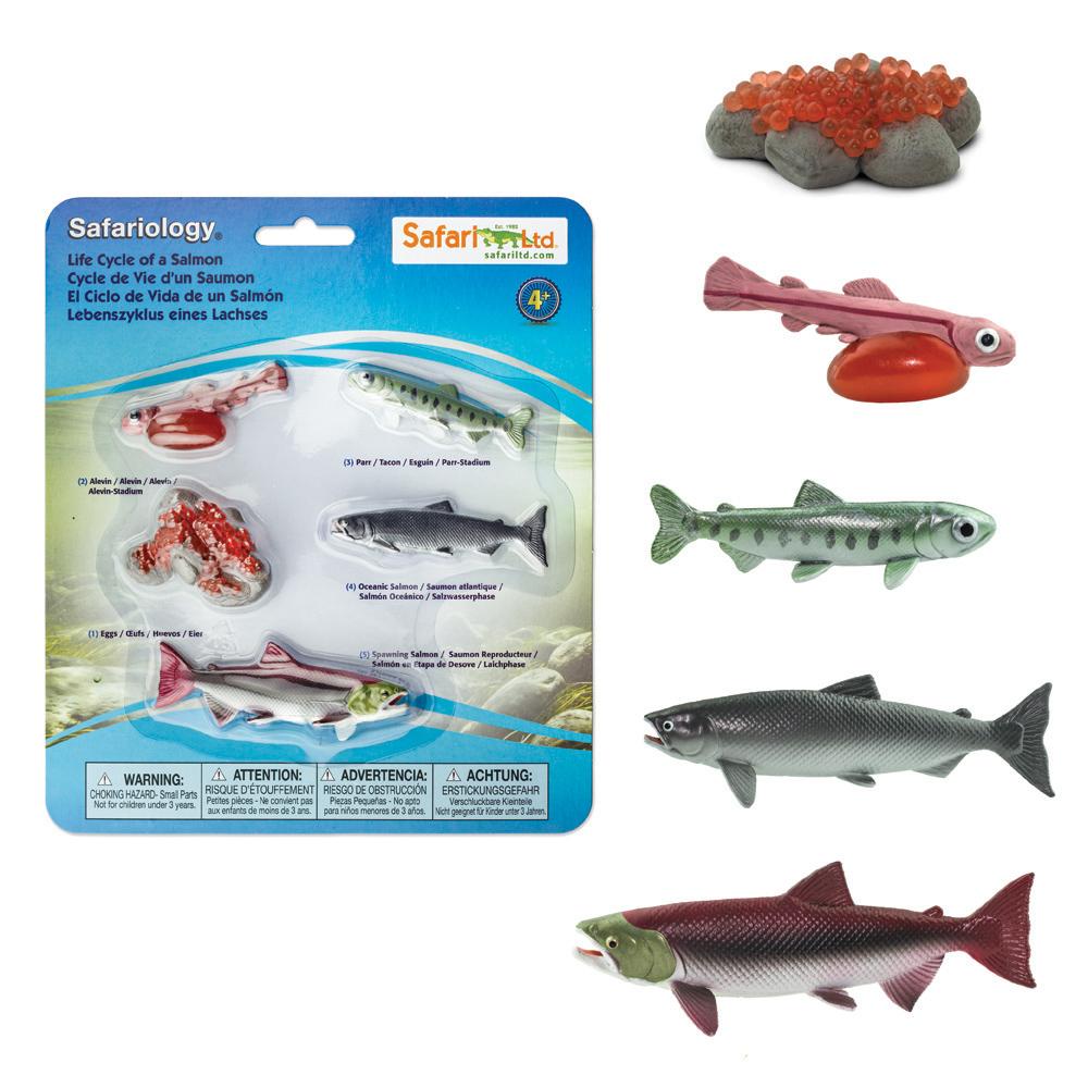 SAFARI Animales y Dinosaurios Coleccionables Ciclo de vida de salmón coleccionable