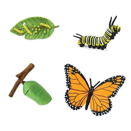 SAFARI Animales y Dinosaurios Coleccionables Ciclo de vida de una mariposa monarca SA622616