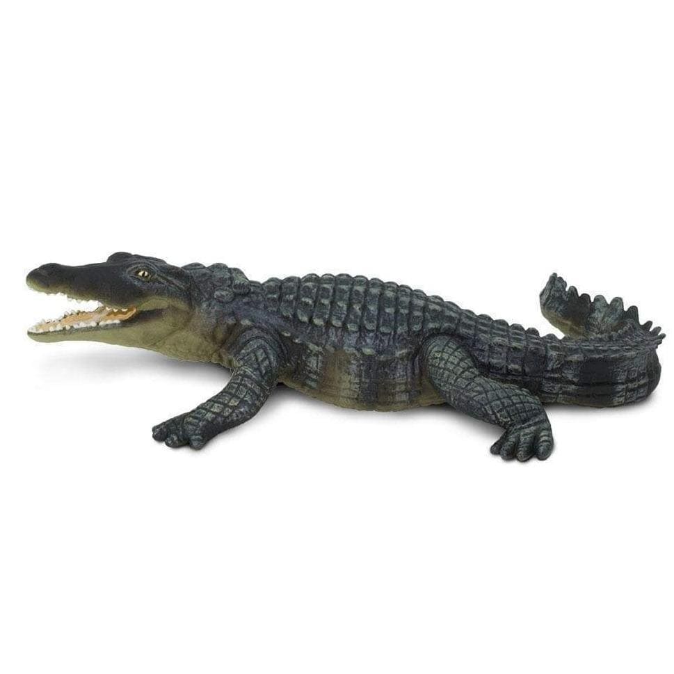 Cocodrilo Coleccionable