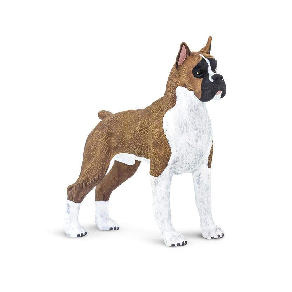 Boxer Coleccionable