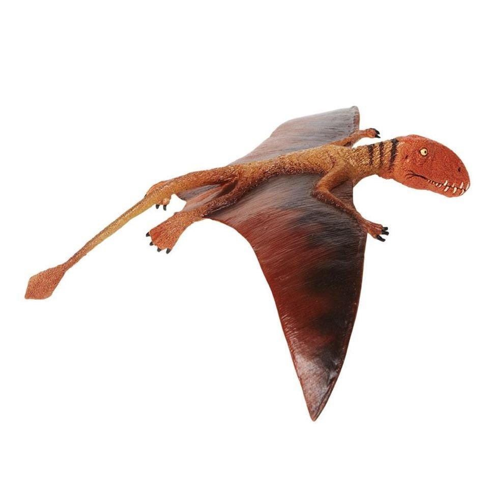 SAFARI Animales y Dinosaurios Coleccionables Dimorphodon Coleccionable SA304729