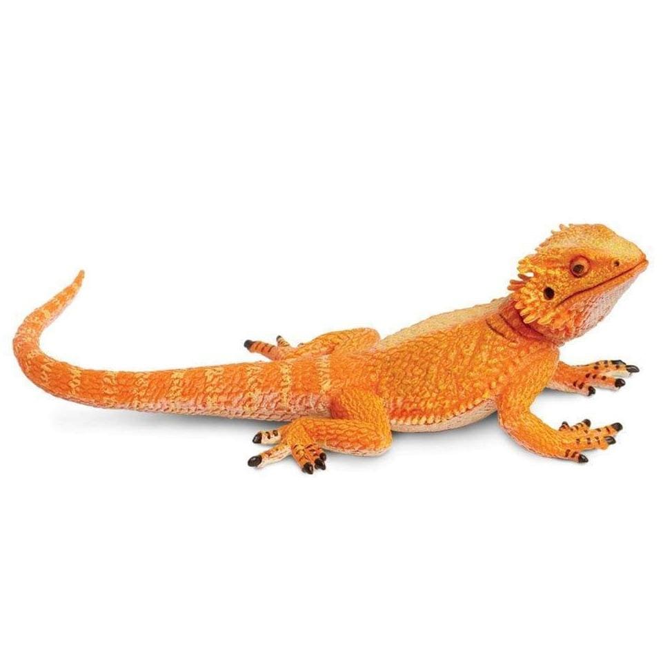 SAFARI Animales y Dinosaurios Coleccionables Dragón Barbudo SA263129