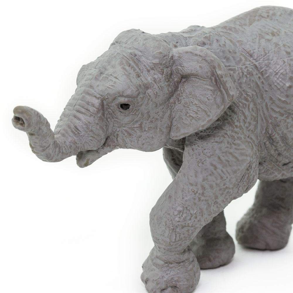 SAFARI Animales y Dinosaurios Coleccionables Elefante asiático bebé Coleccionable