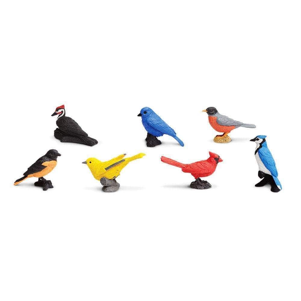SAFARI Animales y Dinosaurios Coleccionables Figuras de Aves de Jardín TOOB SA678304