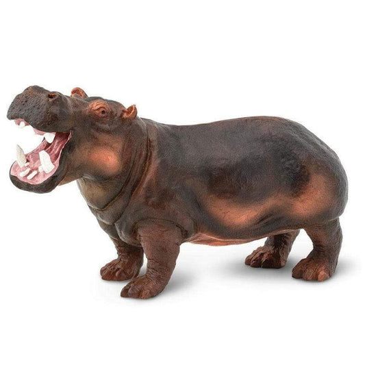 SAFARI Animales y Dinosaurios Coleccionables Hipopótamo Común Coleccionable SA229029