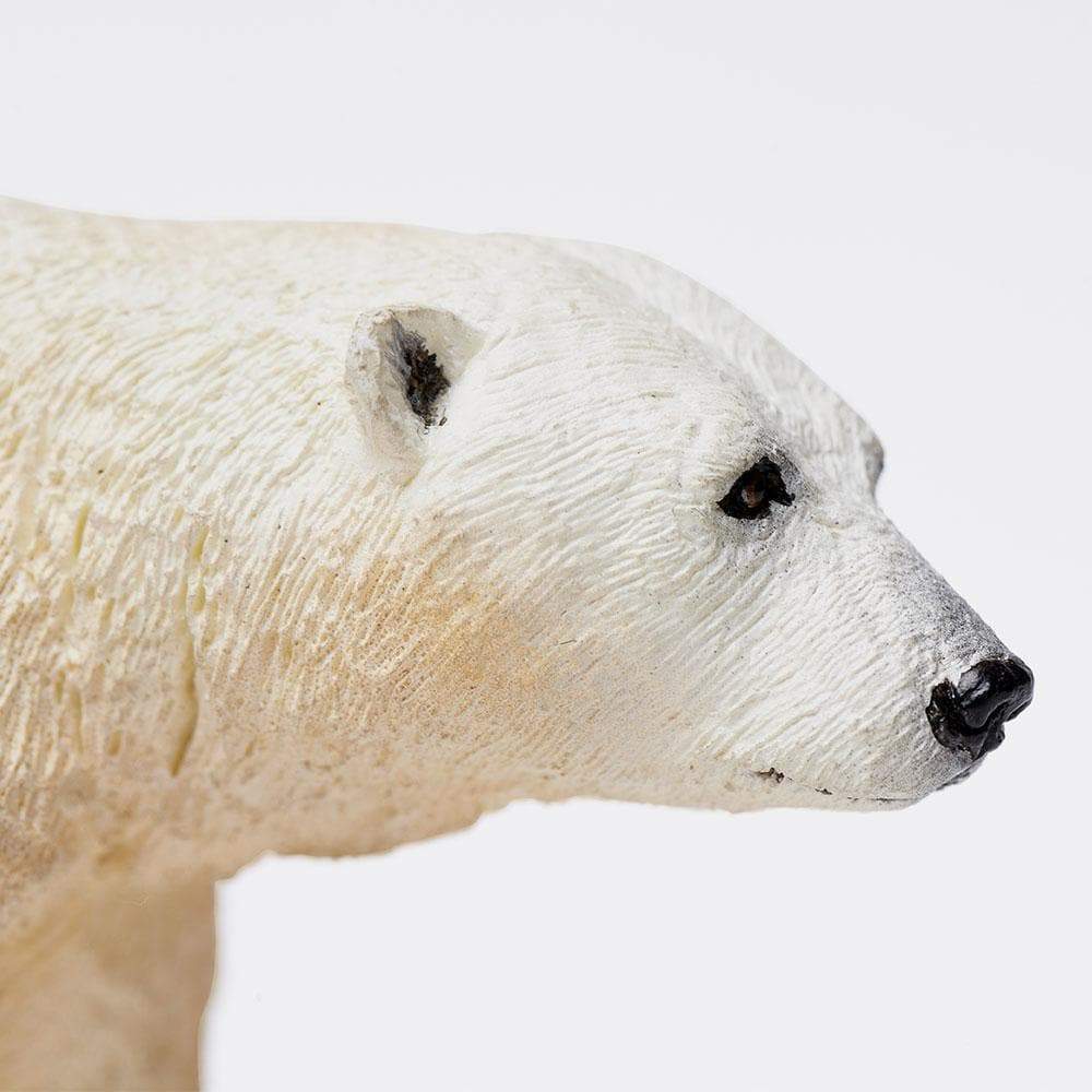 SAFARI Animales y Dinosaurios Coleccionables Oso Polar Coleccionable SA273329