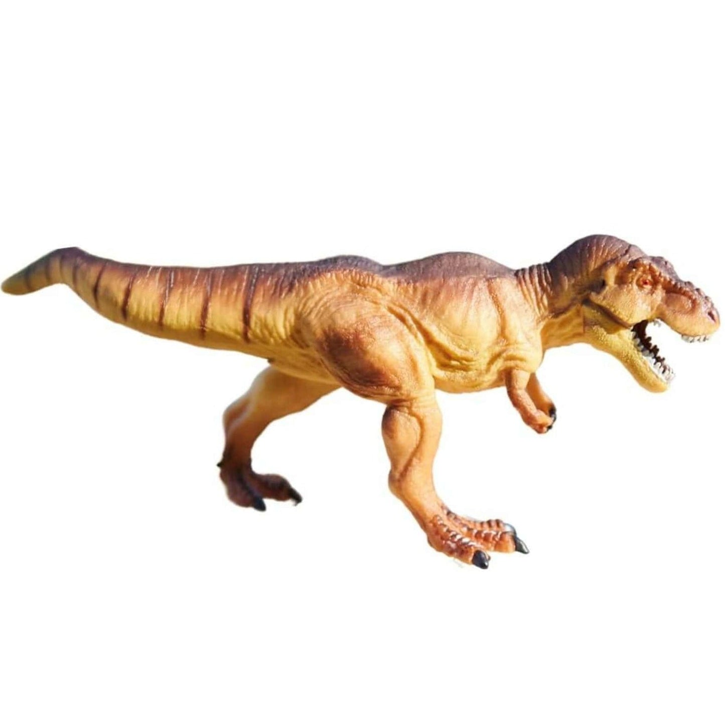SAFARI Animales y Dinosaurios Coleccionables Tiranosaurio Rex Dino Dana SA100934