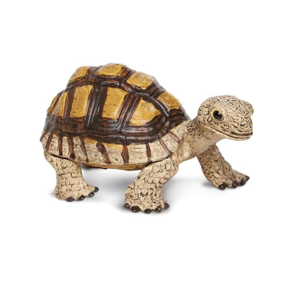 SAFARI Animales y Dinosaurios Coleccionables Tortuga Coleccionable SA258629