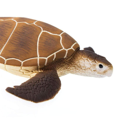 SAFARI Animales y Dinosaurios Coleccionables Tortuga de mar verde Coleccionable