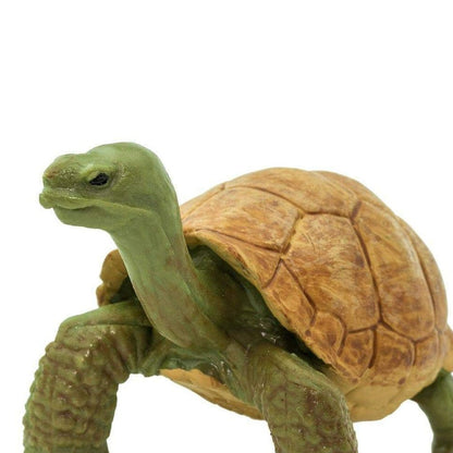 SAFARI Animales y Dinosaurios Coleccionables Tortuga Gigante Bebé Coleccionable SA272529