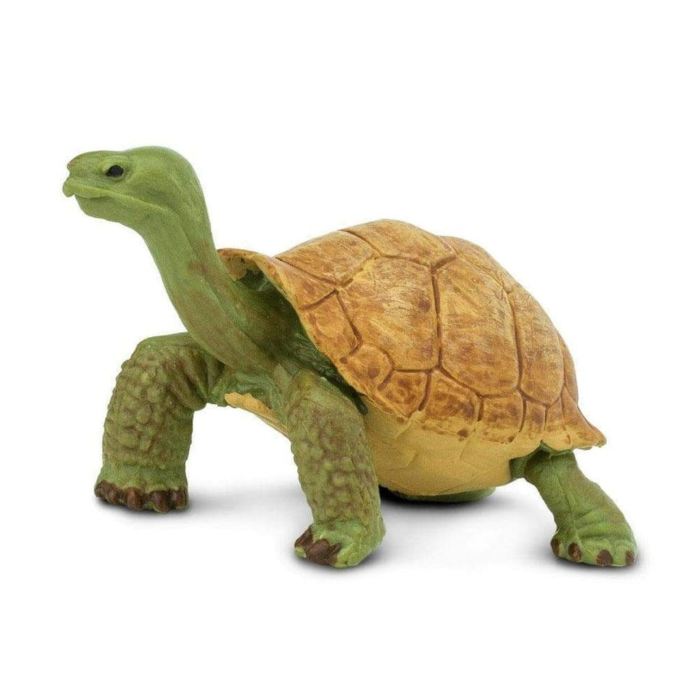 SAFARI Animales y Dinosaurios Coleccionables Tortuga Gigante Bebé Coleccionable SA272529