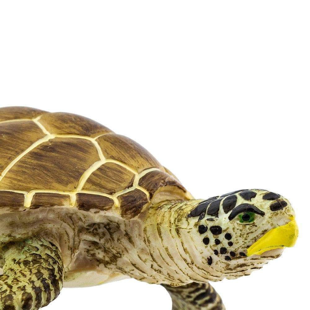 SAFARI Animales y Dinosaurios Coleccionables Tortuga Loggerhead Coleccionable SA220229