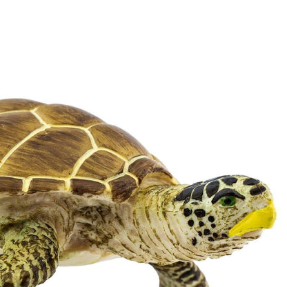 SAFARI Animales y Dinosaurios Coleccionables Tortuga Loggerhead Coleccionable SA220229