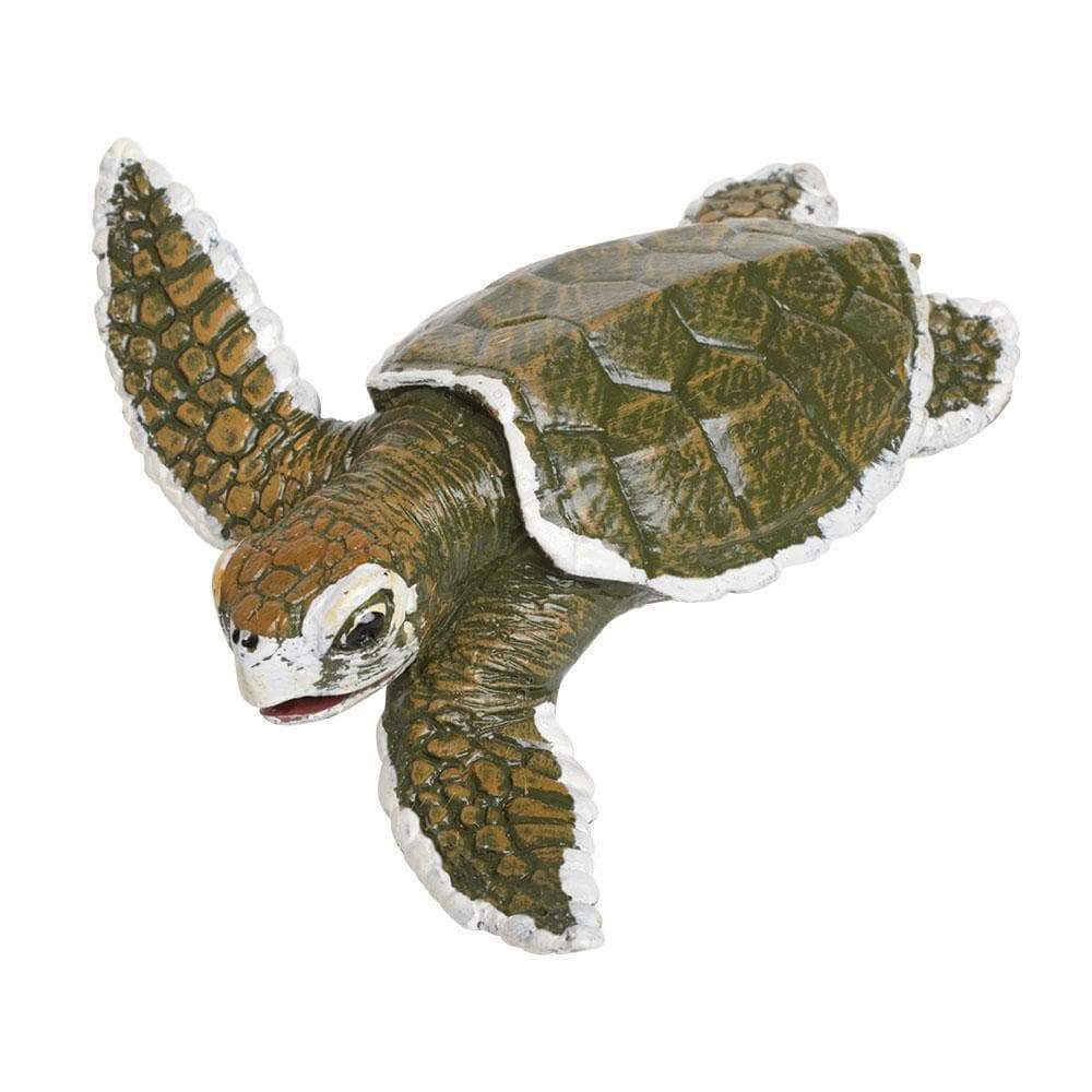 SAFARI Animales y Dinosaurios Coleccionables Tortuga Marina Bebé Kemp's Ridley Coleccionable SA267429