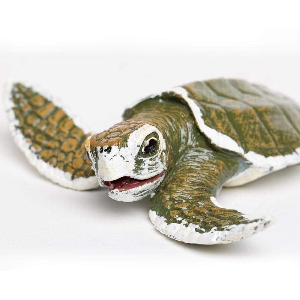 SAFARI Animales y Dinosaurios Coleccionables Tortuga Marina Bebé Kemp's Ridley Coleccionable SA267429